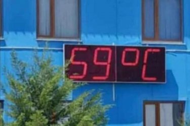 Созақта 59 градус ыстық болды