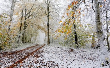 Қазақстанның бірнеше өңірінде қар жауады – Қазгидромет