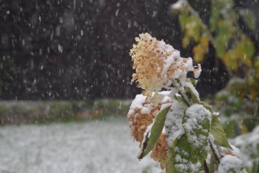 Бүгін еліміздің басым бөлігінде нөсер жауын, қар жауады