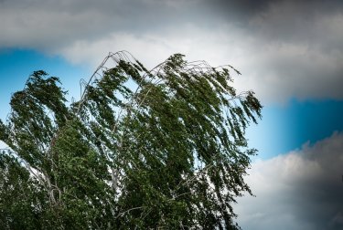 Дүйсенбіге арналған ауа райы болжамы