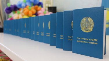 Баланың туу туралы куәлігін енді онлайн алуға болады – ДСМ