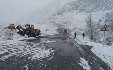 Шығыс Қазақстан облысында қар көшкіні болды