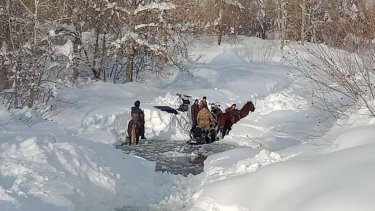 Абай облысында боранда жоғалып кеткен отбасы табылды