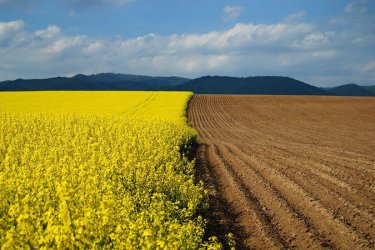 «Жер аманаты» комиссиясының бастамасымен интерактивті карта әзірленді