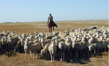 Павлодарда сегіз ай бұрын жоғалып кеткен жігіт табылды