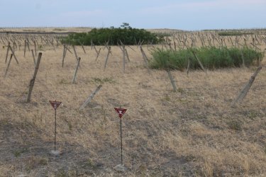 Бейбіт тұрғындар мен әскерилер қаза тапты: Қарабақта не болып жатыр?