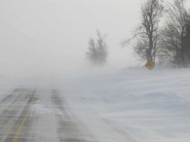 Қостанай облысында жоғалып кеткен әже мен немеренің денесі табылды