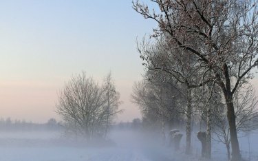 Тұман, көктайғақ: 29 қаңтарға арналған ауа райы болжамы