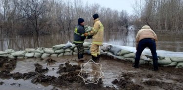 Су тасқыны: Қырылған мал үшін өтемақы қалай төленеді?