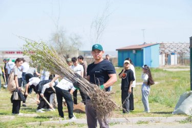 Елімізде «Таза Қазақстан» акциясына 1 миллионнан астам адам қатысты