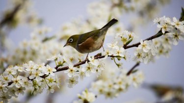 32 градус ыстық: демалыс күндері ауа райы қандай болады