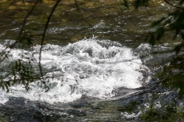 Тарихи сот процесі: Эквадордағы өзен сотта жеңіп шықты