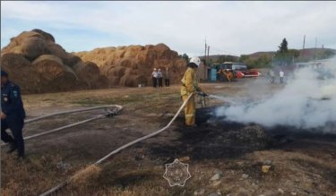 ШҚО-да балалар 11 тонна шөпті өртеп жіберген