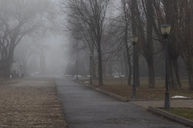 Тұман түседі: Бірнеше өңірде ауа-райына байланысты ескерту жарияланды