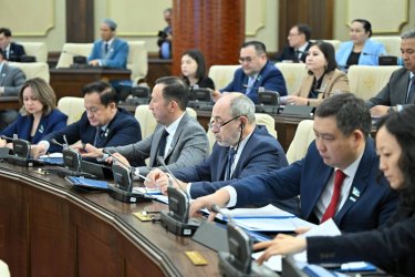 Мәжіліс 2025-2027 жылдарға арналған республикалық бюджетті бекітті