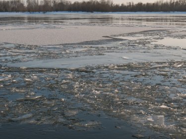 Астаналық ер адам мұз астына түсіп кетті