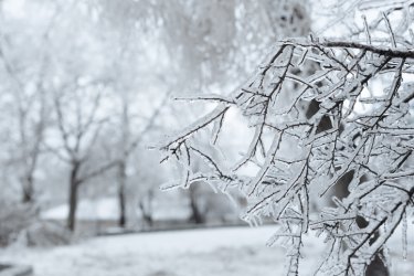 Елімізде қыс мезгіліне арналған ауа райы болжамы жарияланды