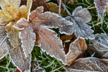 Елімізде 12 өңірде ауа райына байланысты ескерту жасалды