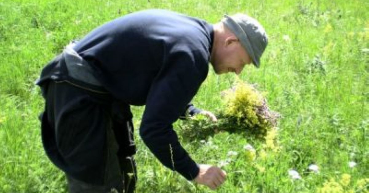 Шетелдіктер өсімдіктер мен жануарларды оңай алып кетеді
