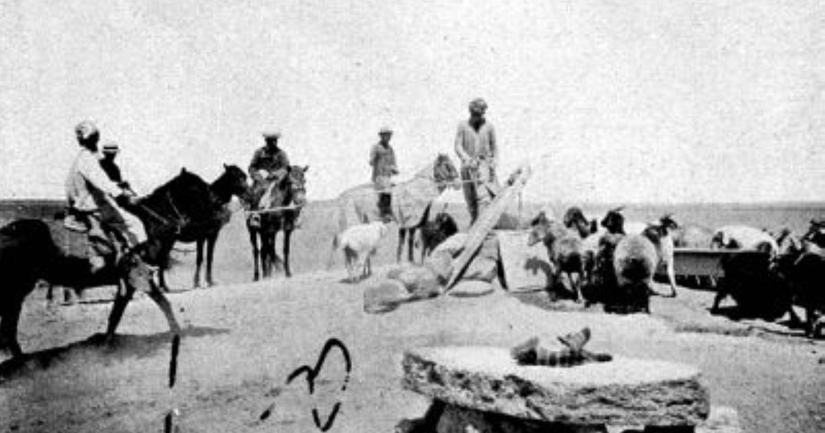 1873 жылы топографтар Маңғыстауда 1133 шыңырауды тіркеуге алған