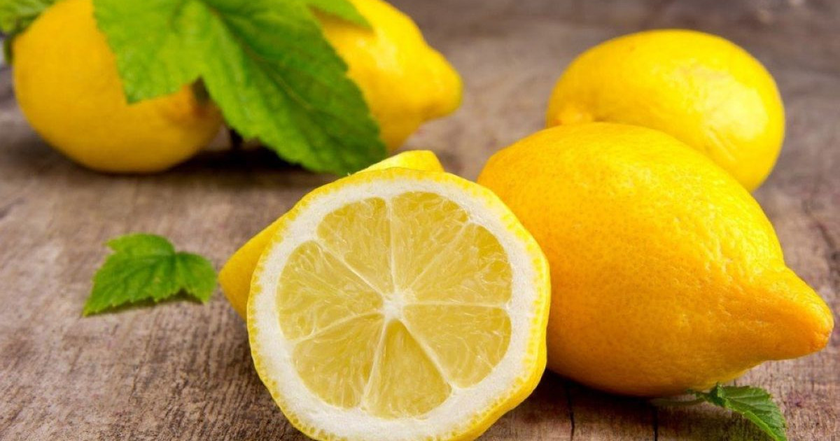 Лимон мен банан Оңтүстік Қазақстанда да өсірілуде