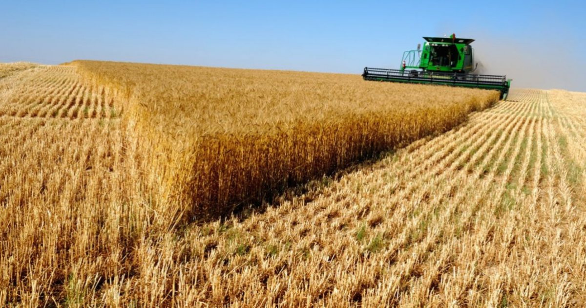 Қарағанды облысында егін жинау науқаны басталды