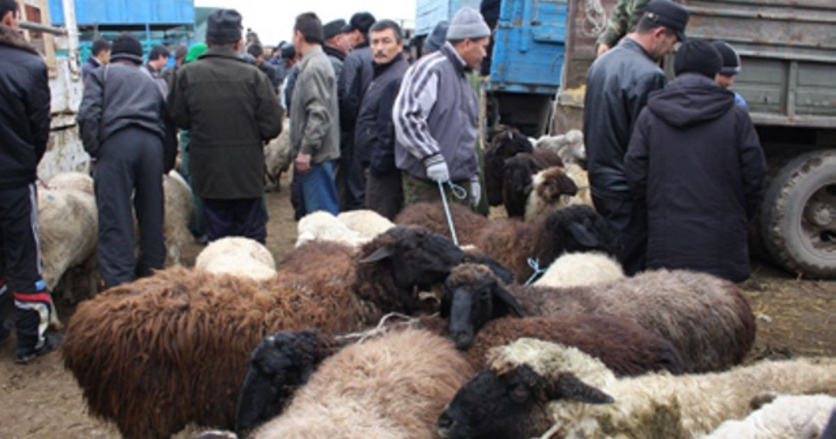 Алматы облысында үш ағайындының өліміне қатысты іс сот органына түсті
