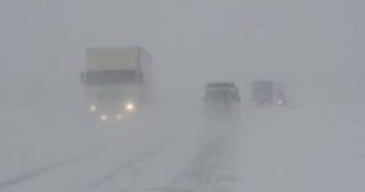 Жамбыл облысында боранда қалған адамдар құтқарылды