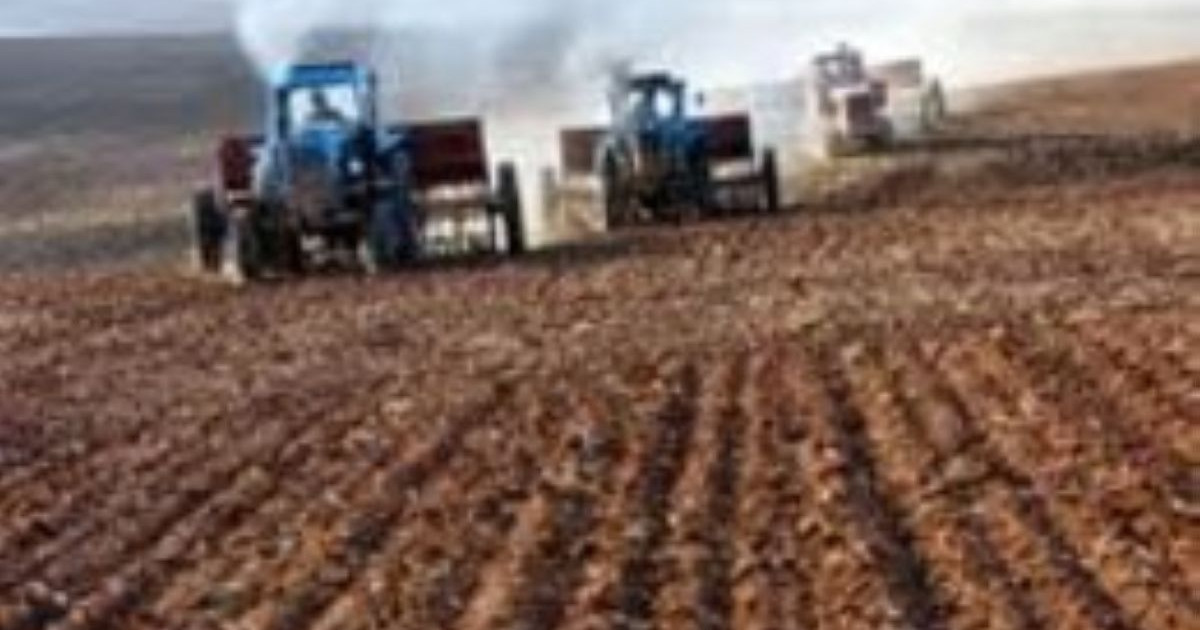Шаруаларды несиелендіруге 60 млрд теңге бөлінбек