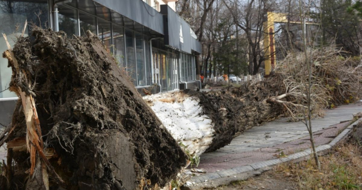 Жамбыл облысында дауылдан қаза тапқандар отбасына көмек көрсетіледі