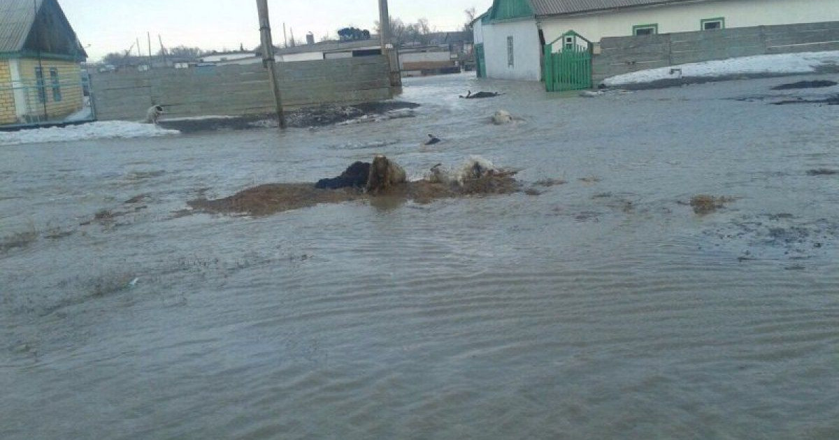 Қарағандыда тасқыннан келген шығын 160 млн теңгеге жуықтады