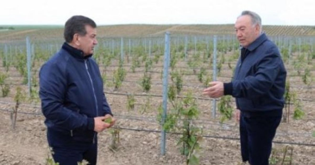 Нұрсұлтан Назарбаев Өзбекстан президентін туған күнімен құттықтады