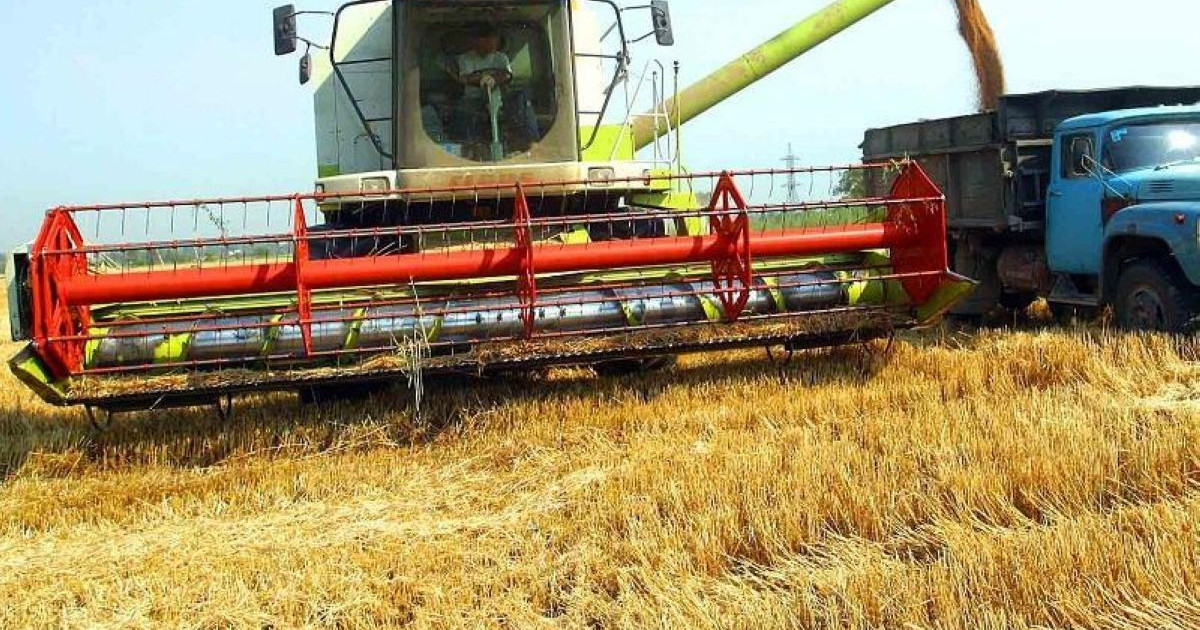 Қарағанды облысында егін түсімі бөмен болуы мүмкін