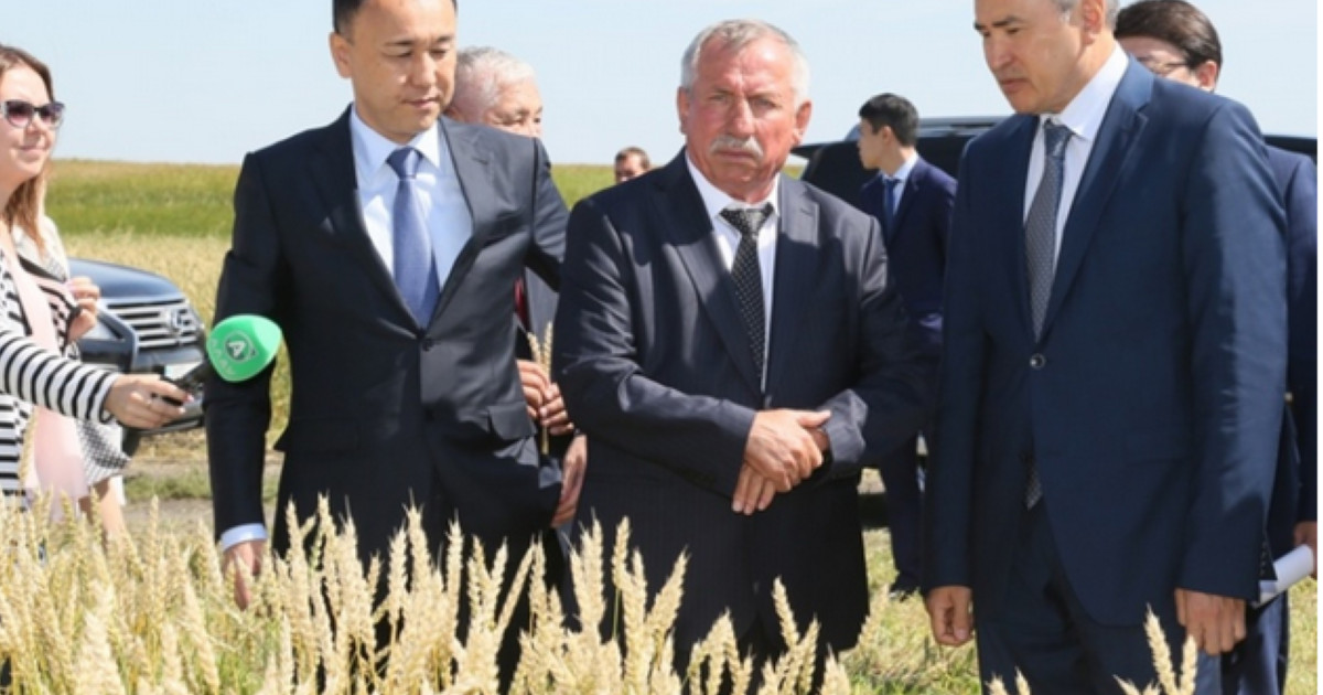 "Цифрлық Қазақстан" жобасының дайындық барысы пысықталды