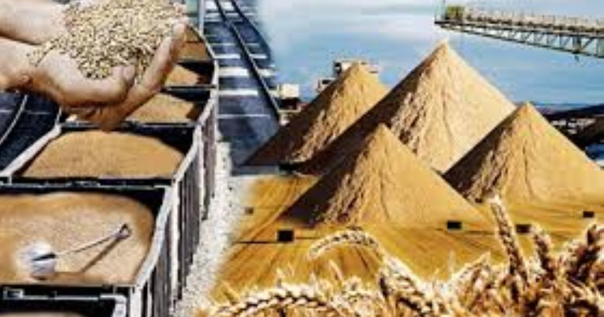 Министрлік шаруалардан астық сатып алуды қарастыруда