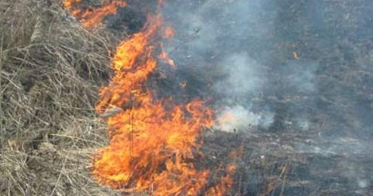 Өскеменді қою түтін басты