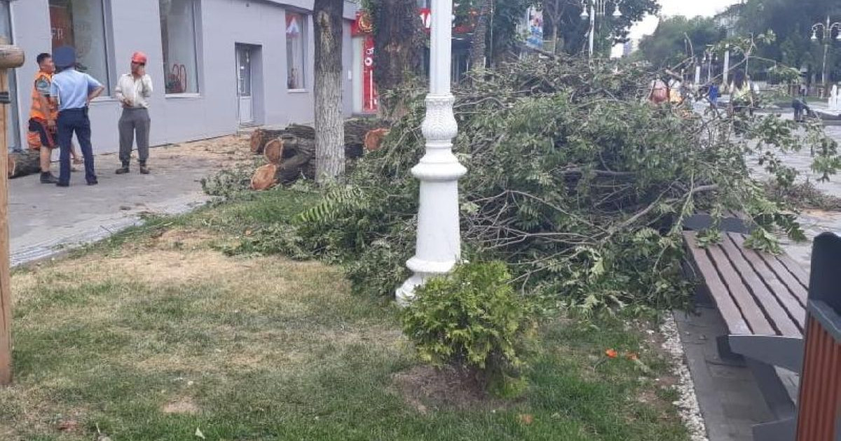 4 ТАЛ КЕСІП, 40 ТАЛ ЕГЕДІ