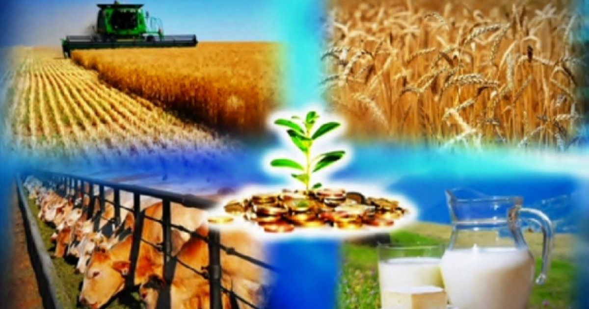 Аграрлық салаға кәсіби маман керек