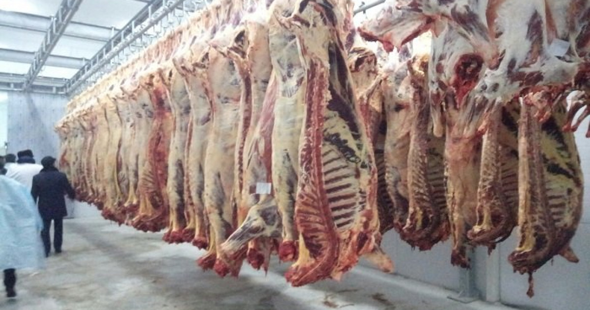 «Өңірге ет комбинаты керек»,– дейді облыс әкімі шаруа қожалығындағы жүздесуінде
