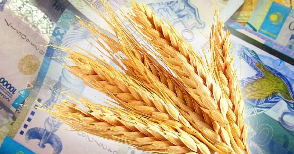 Жеңілдетілген несиеге  қалай қол жеткізуге болады?