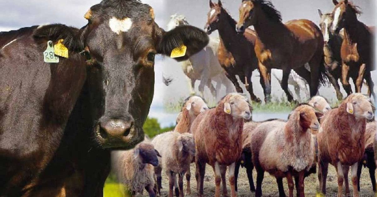 Ата кәсіп – жұртқа нәсіп