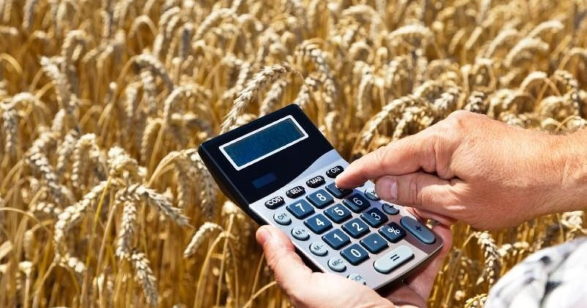 Aуыл шаруашылығы субсидиясын басқа мақсатта жұмсауды қою керек – министр