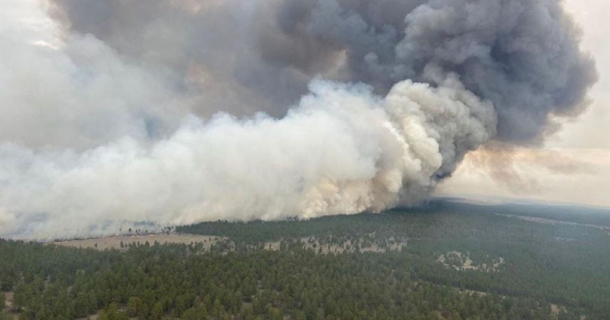 ШҚО: 4 мың гектарды шарпыған орман өртіне кінәлілер анықталды