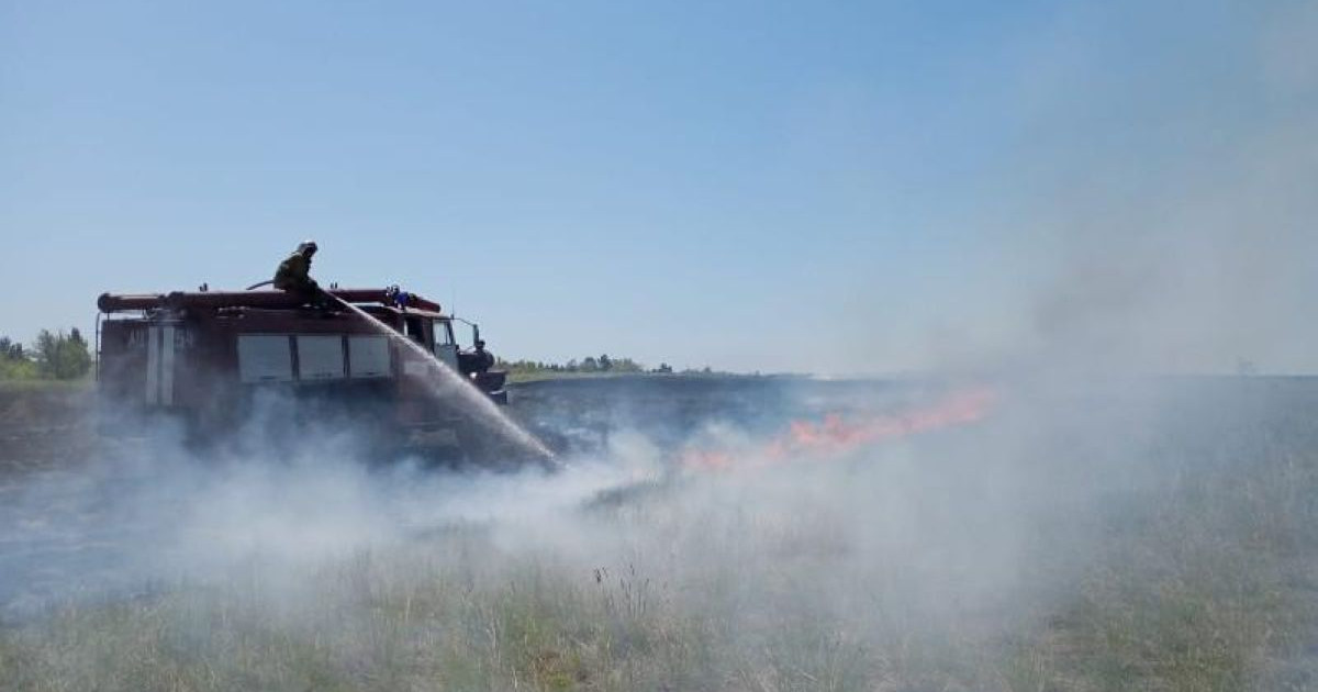 Дала өрті: Шығыс Қазақстанда 100 гектардан астам аумақ өртеніп кетті
