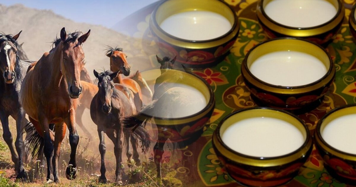 Қымыз, шұбат − барың да, нәрің де осы