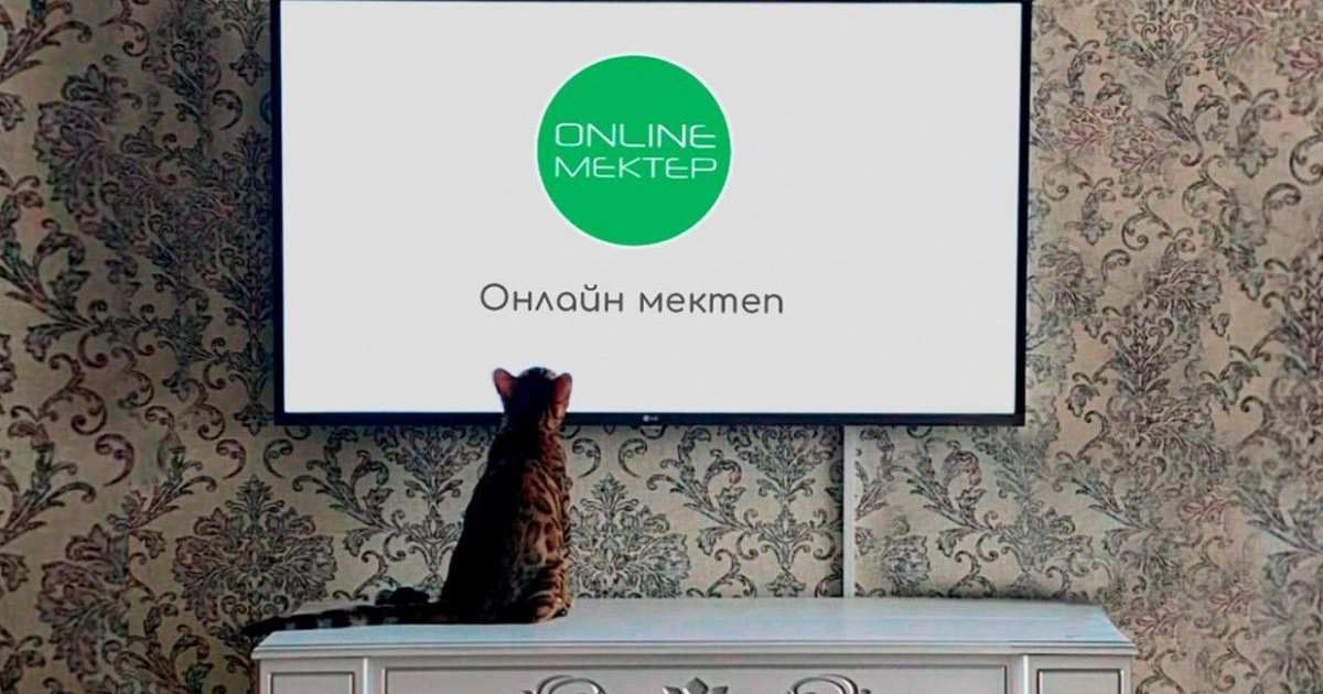 Елімізде кибер-шабуылдан қорғануға мүмкіндік беретін алаң құрылды