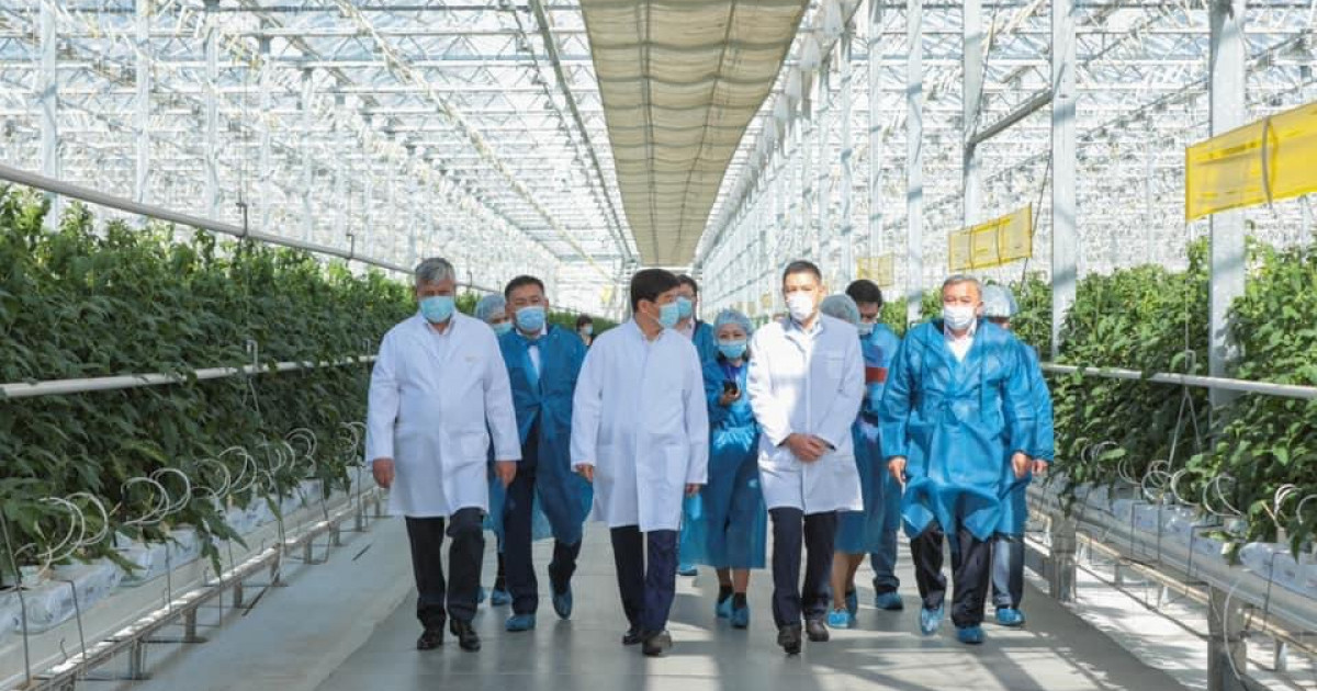 Бауыржан Байбек Қапшағайда азаматтардың өтінішін қарады