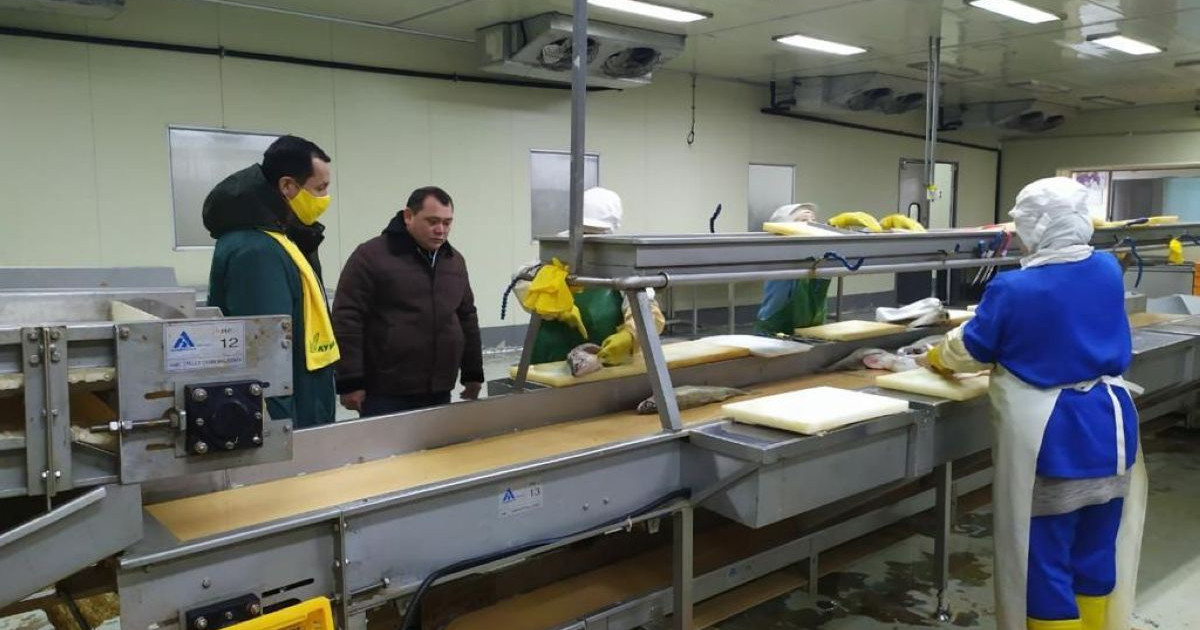 Қазақстанда балық өнімдерін тұтыну мәдениеті дамымаған