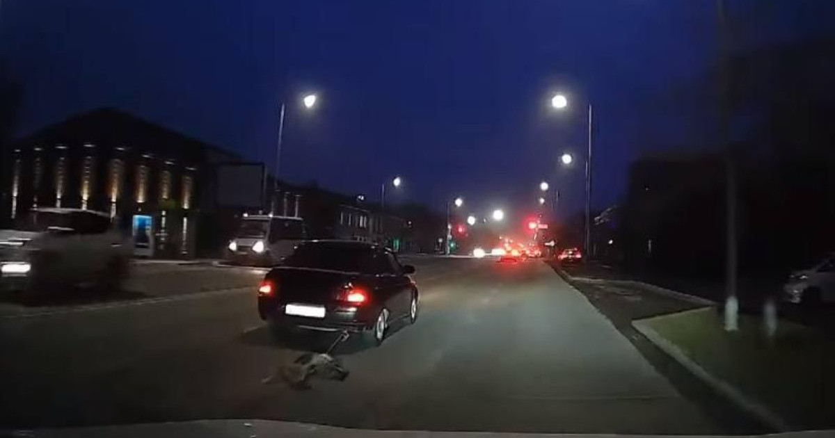 Атырауда көлігімен ит сүйреген жүргізуші ұсталды