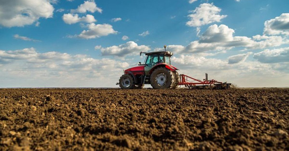 Әкімнің баласы ауылдың іргесін неге қопарды?